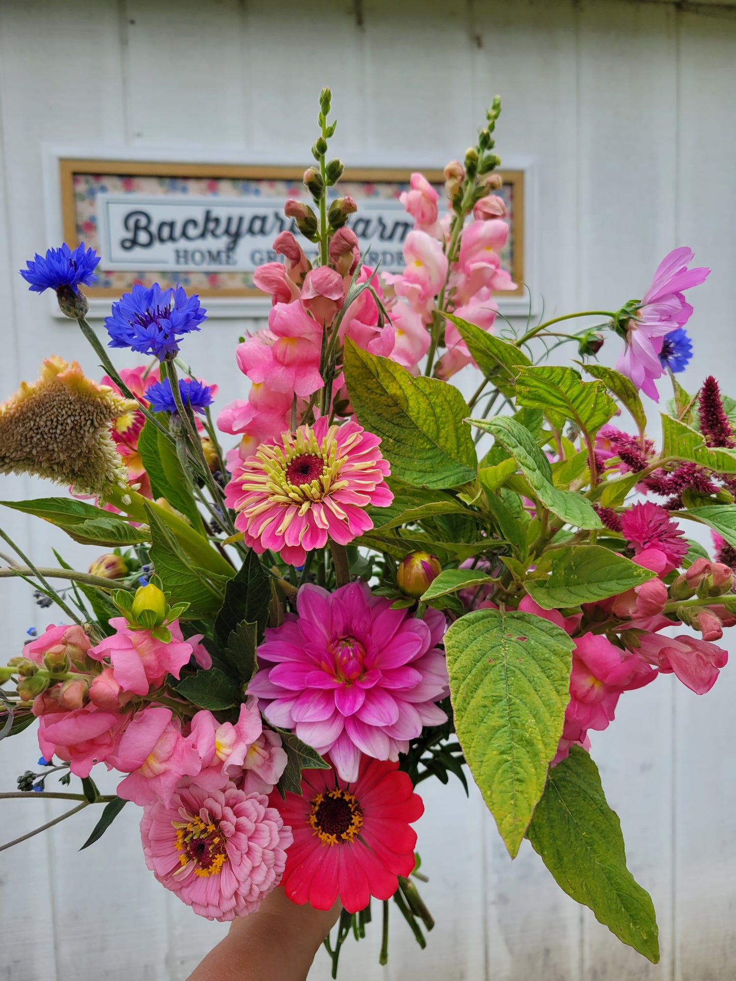 Bouquets