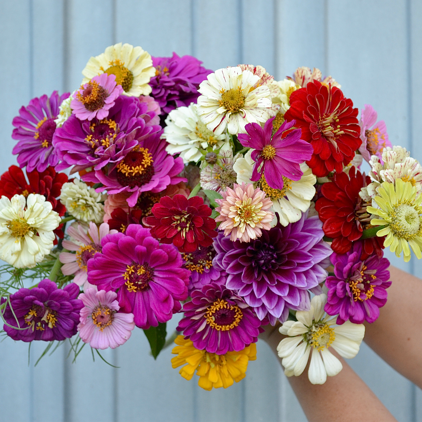 Bouquets